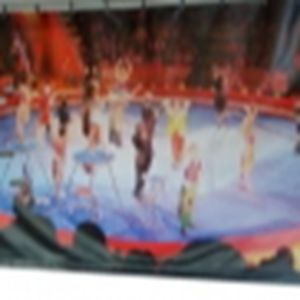 Decordoek Circus 1 Decordoek Circus 1