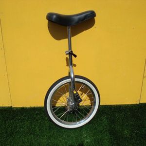 Eenwielfiets Eenwielfiets