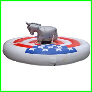 Rodeopaard kinderen Rodeopaard kinderen