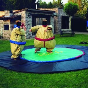 Sumo Worstelen 2